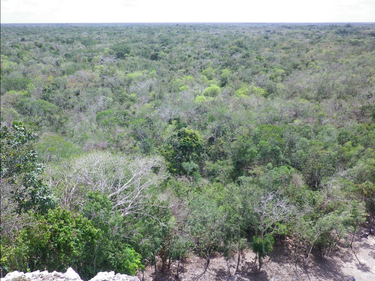 Mayan Culture105